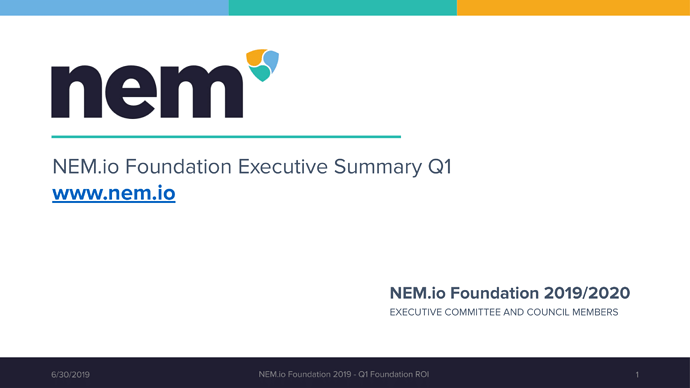 NEM Foundation Executive summary Q1 ROI